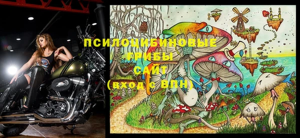 экстази Гусиноозёрск