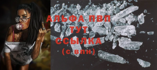 PSILOCYBIN Гусь-Хрустальный
