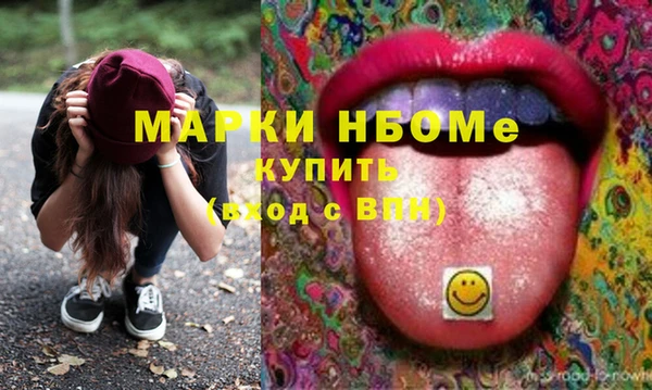 PSILOCYBIN Гусь-Хрустальный