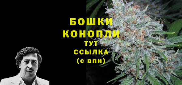 PSILOCYBIN Гусь-Хрустальный