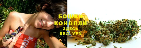 PSILOCYBIN Гусь-Хрустальный
