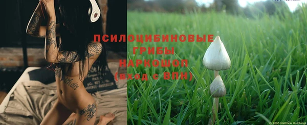 a pvp Гусев