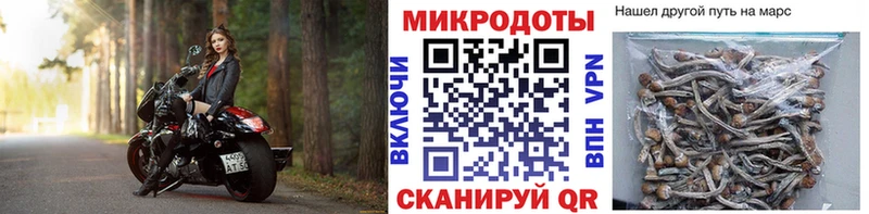 дарнет шоп  Мосальск  мега ссылки  Псилоцибиновые грибы Psilocybe 